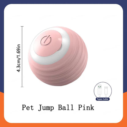 The Smart Dog and Cat Ball That Becomes Their Obsession