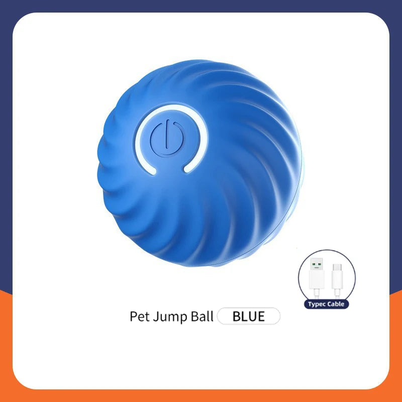 The Smart Dog and Cat Ball That Becomes Their Obsession