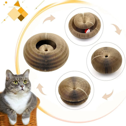 The Trending Magic Cat Scratch Toy