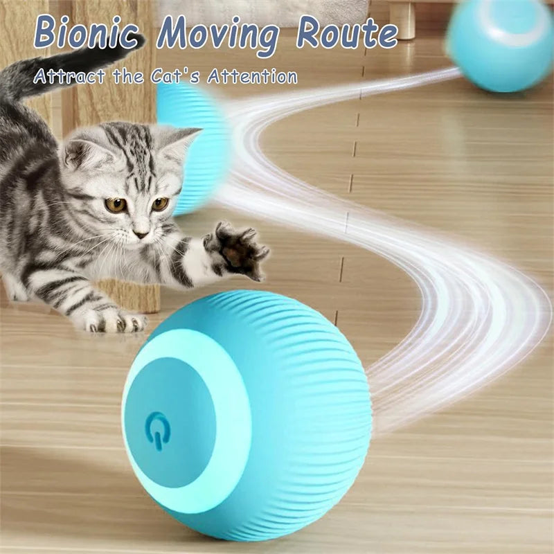 The Smart Dog and Cat Ball That Becomes Their Obsession