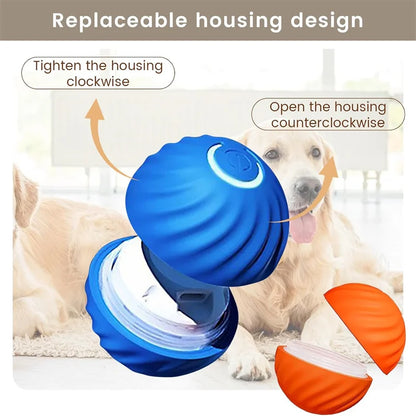 The Smart Dog and Cat Ball That Becomes Their Obsession